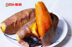 烟薯25红薯品种介绍