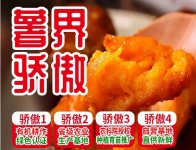 地瓜季 福祖烟薯25 惠销港城！