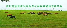 要让畜牧业成为农业农村优先发展的支柱产业